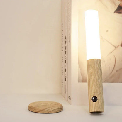 Rechargeable Motion Sensor Night Light